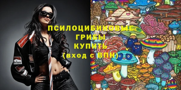 мет Нея